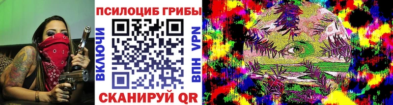 где найти   Черкесск  Псилоцибиновые грибы Psilocybine cubensis 
